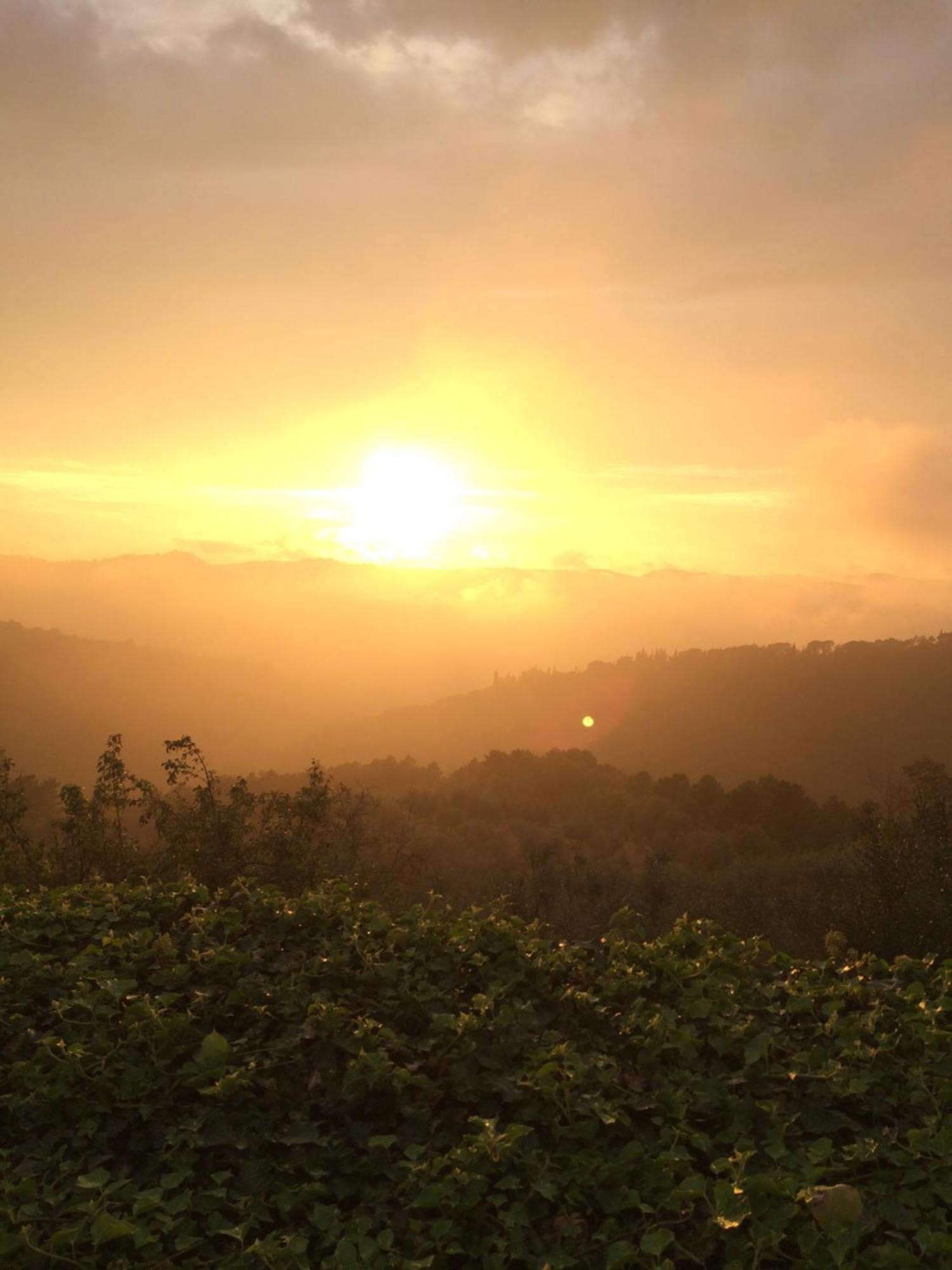 Podere Campolungo Greve in Chianti Ngoại thất bức ảnh