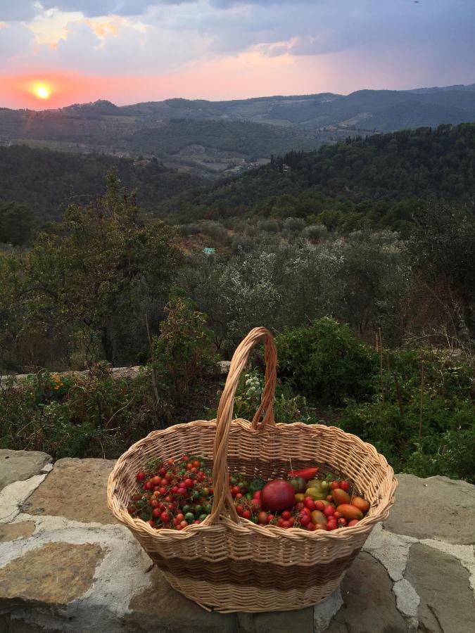 Podere Campolungo Greve in Chianti Ngoại thất bức ảnh