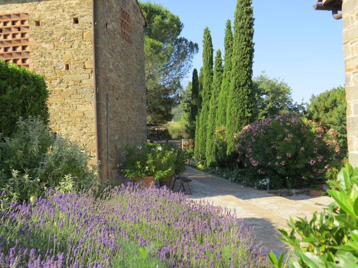 Podere Campolungo Greve in Chianti Ngoại thất bức ảnh